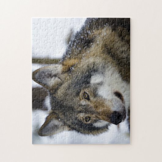 Grijze Wolf, Jigzaag Puzzle Legpuzzel (Verticaal)