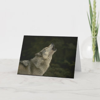 Grijze Wolf Kaart