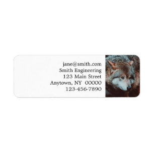 Grijze Wolf kijkt in het bos Etiket