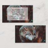 Grijze Wolf kijkt in het bos Visitekaartje (Voorkant / Achterkant)