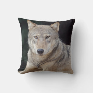 Grijze Wolf Kussen