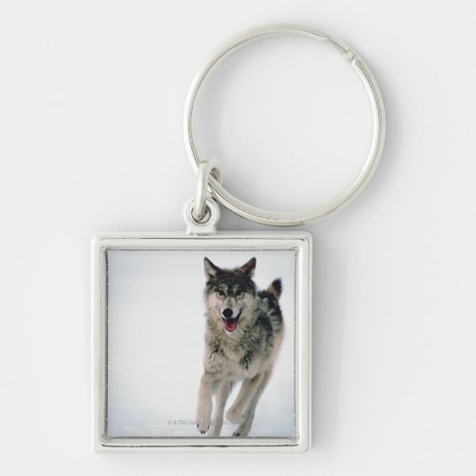 Grijze wolf loopt sleutelhanger (Voorkant)