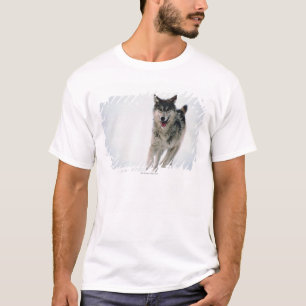 Grijze wolf loopt t-shirt