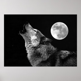 Grijze Wolf & Maan Poster Print