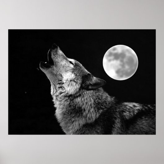 Grijze Wolf & Maan Poster Print (Voorkant)