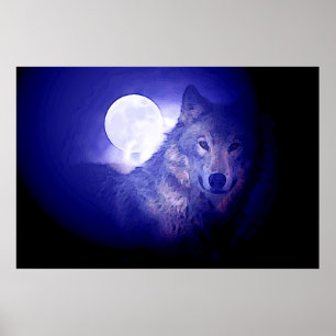 Grijze Wolf & Maan Posterprint - Blauwe Nacht Wolv Poster