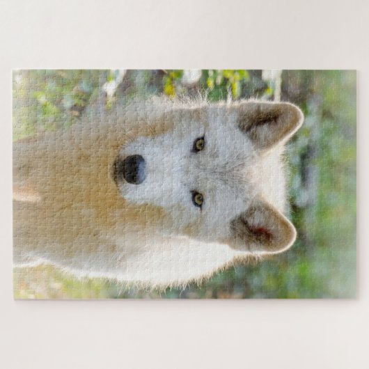 Grijze wolf, mooie hondenfotografie legpuzzel (Horizontaal)