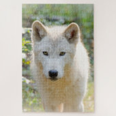 Grijze wolf, mooie hondenfotografie legpuzzel (Verticaal)