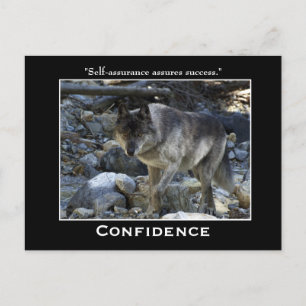 Grijze Wolf Motivatie Briefkaarten
