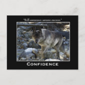 Grijze Wolf Motivatie Briefkaarten (Voorkant)