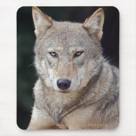 Grijze Wolf Muismat (Voorkant)