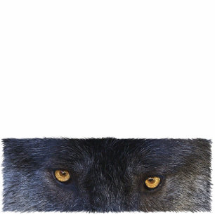 GRIJZE WOLF OGEN (gebeeldhouwd) Wildlife Gift Item Fotobeeldje Magneet