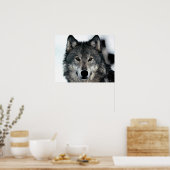 Grijze Wolf Poster (Keuken)