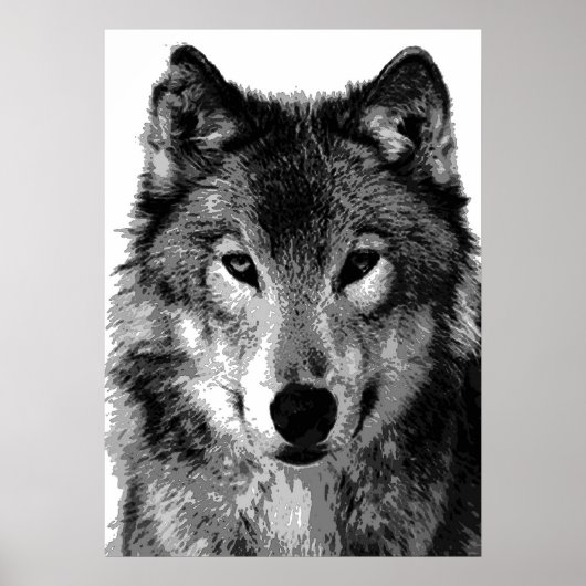 Grijze Wolf Poster Print (Voorkant)