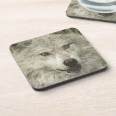 Grijze Wolf Potlood Schets Wildlife Art Gift Bier Onderzetter (Linkerzijde)