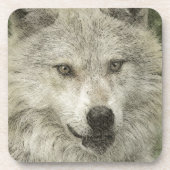 Grijze Wolf Potlood Schets Wildlife Art Gift Bier Onderzetter (Voorkant)
