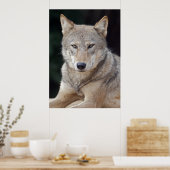Grijze Wolf Print (Keuken)