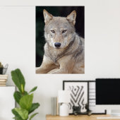 Grijze Wolf Print (Thuiskantoor)