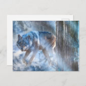 Grijze Wolf SEASON VAN DE WOLF Briefkaart (Voorkant / Achterkant)