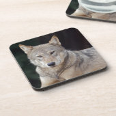Grijze Wolf Set van 6 Onderzetters (Linkerzijde)