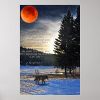 Grijze Wolf, sneeuw, bloedmaan & meer met Wolf ged