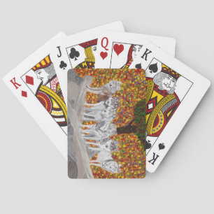 Grijze Wolf-speelkaarten Pokerkaarten