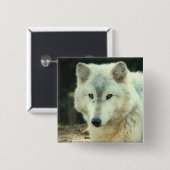 Grijze Wolf Square Pin Vierkante Button 5,1 Cm (Voorkant /achterkant)