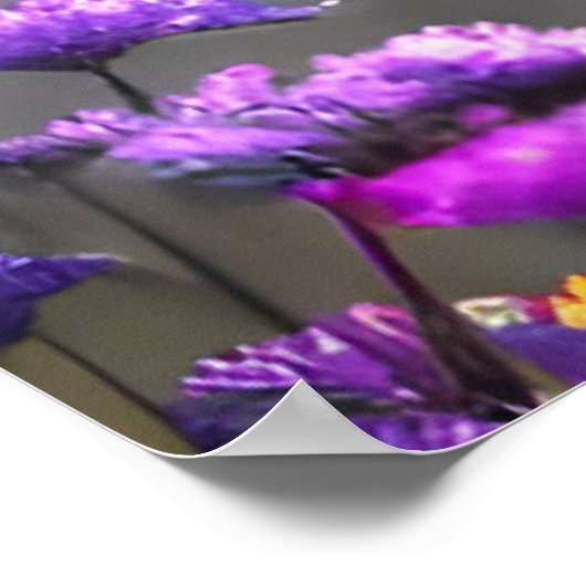 Grijze wolf Stare - roze en paarse bloemen Poster (Hoek)