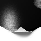 Grijze Wolf Stare - Zwart-witte foto afdrukken (Hoek)