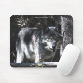 Grijze Wolf Studie Wildlife Supporter Mousepad Muismat (Met muis)