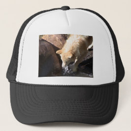 Grijze Wolf Trucker Pet