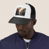 Grijze Wolf Trucker Pet (In situ)