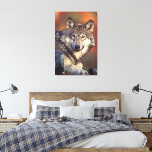 Grijze wolf verpakt canvas afdruk (Insitu (Slaapkamer))