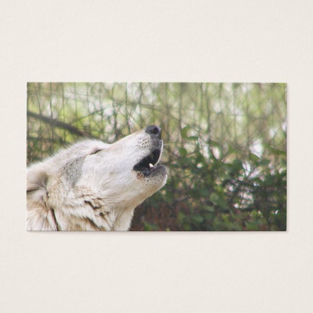 Grijze wolf visitekaartje (Voorkant)