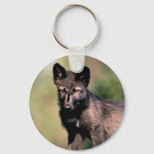 Grijze Wolf-zomer-(zwarte fase) kub Sleutelhanger