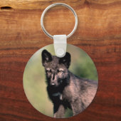 Grijze Wolf-zomer-(zwarte fase) kub Sleutelhanger (Voorkant)
