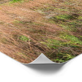 grijze wolkenduinen en moerasschalen poster (Hoek)