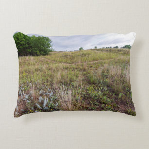 grijze wolkenduinen prairie landschap accent kussen