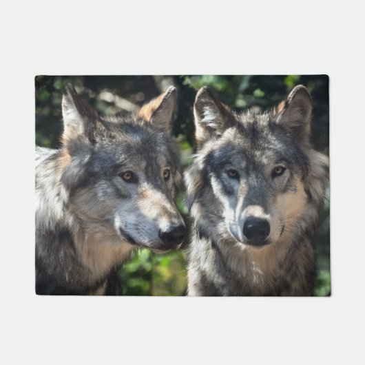 Grijze wolven in de wilde natuur deurmat (Voorkant)
