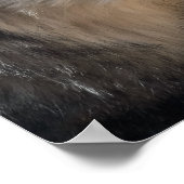 Grijze wolven in de wilde natuur poster (Hoek)