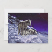 Grijze wolven in wintersneeuw bij nacht kaart (Voorkant)