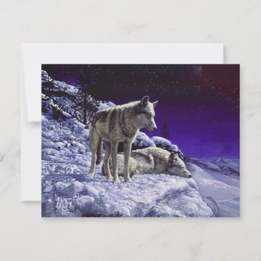 Grijze wolven in wintersneeuw bij nacht kaart (Voorkant)