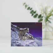 Grijze wolven in wintersneeuw bij nacht kaart (Staand voorkant)