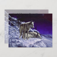 Grijze wolven in wintersneeuw bij nacht