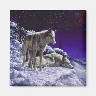 Grijze wolven in wintersneeuw bij nacht magneet