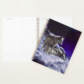 Grijze wolven in wintersneeuw bij nacht planner (Display)