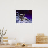 Grijze wolven in wintersneeuw bij nacht poster (Keuken)
