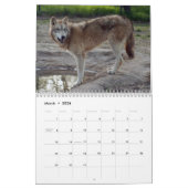 Grijze wolven kalender, grijze wolven kalender (Mar 2026)