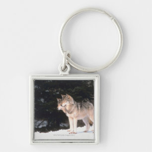 Grijze wolven sleutelhanger
