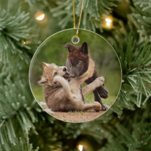 Grijze Wolvenwelpen Worstelen Keramisch Ornament